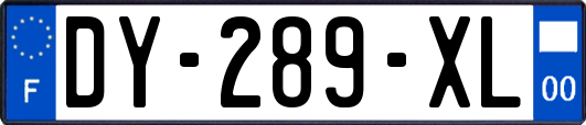 DY-289-XL