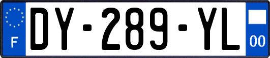 DY-289-YL