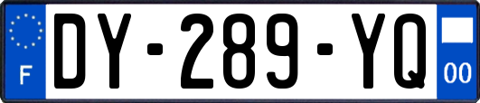 DY-289-YQ