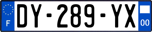 DY-289-YX