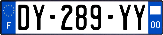 DY-289-YY