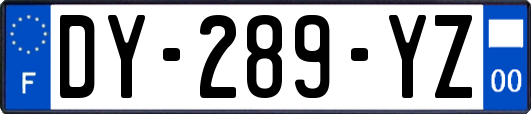 DY-289-YZ