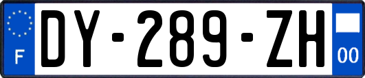 DY-289-ZH