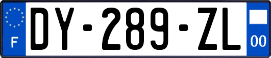 DY-289-ZL