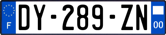 DY-289-ZN