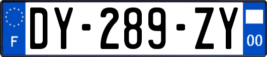 DY-289-ZY