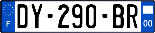 DY-290-BR