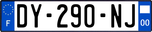 DY-290-NJ
