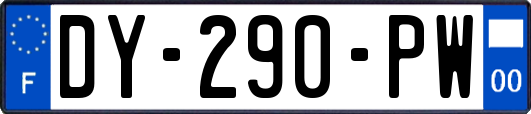 DY-290-PW