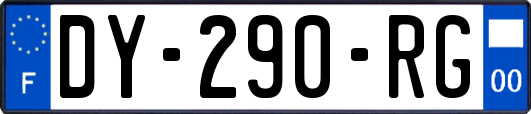 DY-290-RG