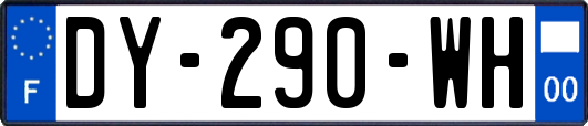 DY-290-WH