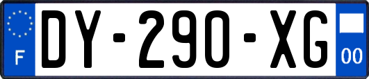 DY-290-XG