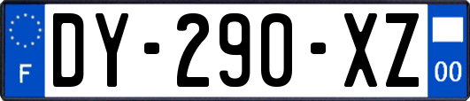 DY-290-XZ