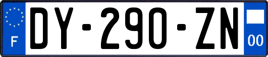 DY-290-ZN