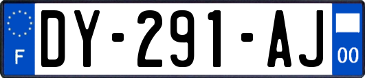 DY-291-AJ