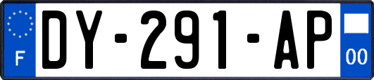 DY-291-AP