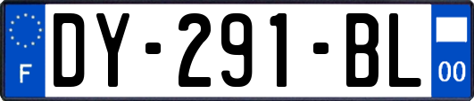 DY-291-BL