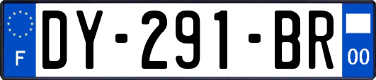DY-291-BR