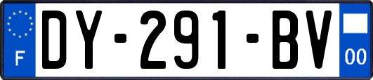 DY-291-BV