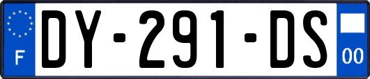 DY-291-DS