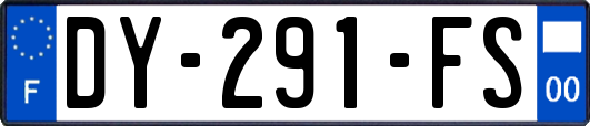 DY-291-FS
