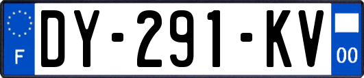 DY-291-KV