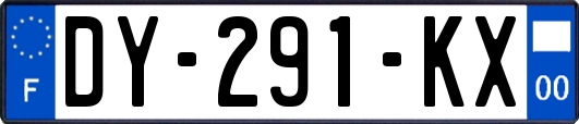 DY-291-KX