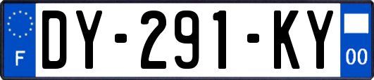 DY-291-KY