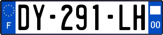 DY-291-LH