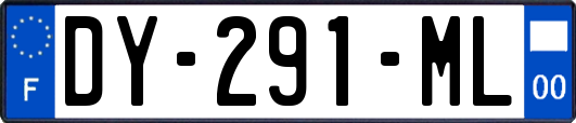 DY-291-ML