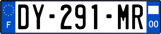 DY-291-MR