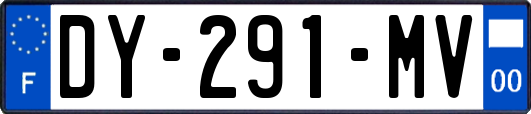 DY-291-MV