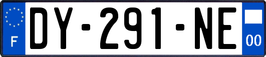 DY-291-NE
