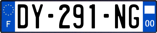 DY-291-NG