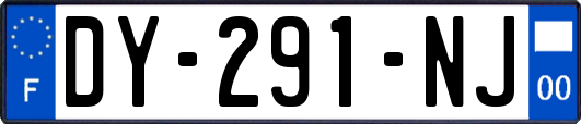 DY-291-NJ