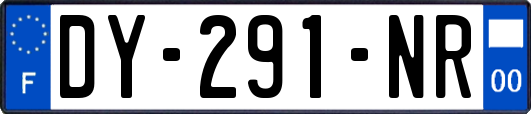 DY-291-NR