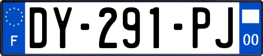 DY-291-PJ