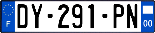 DY-291-PN