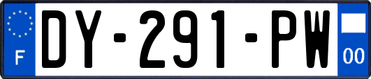 DY-291-PW