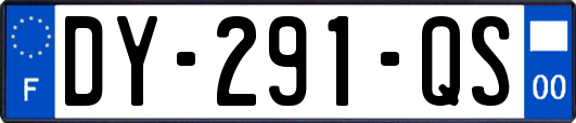 DY-291-QS