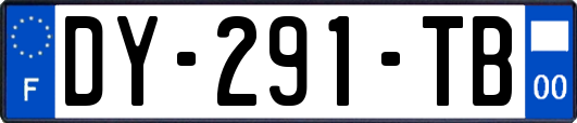 DY-291-TB