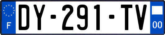 DY-291-TV