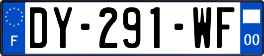 DY-291-WF