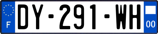 DY-291-WH