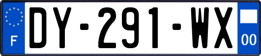 DY-291-WX