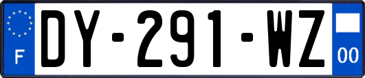 DY-291-WZ