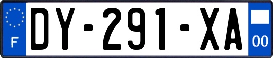 DY-291-XA