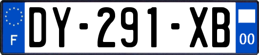 DY-291-XB