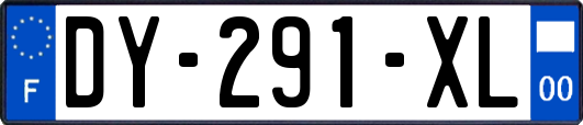 DY-291-XL