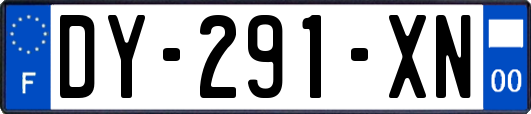 DY-291-XN